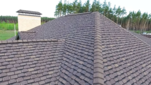 Michigan Weather Challenges Roofing Systems