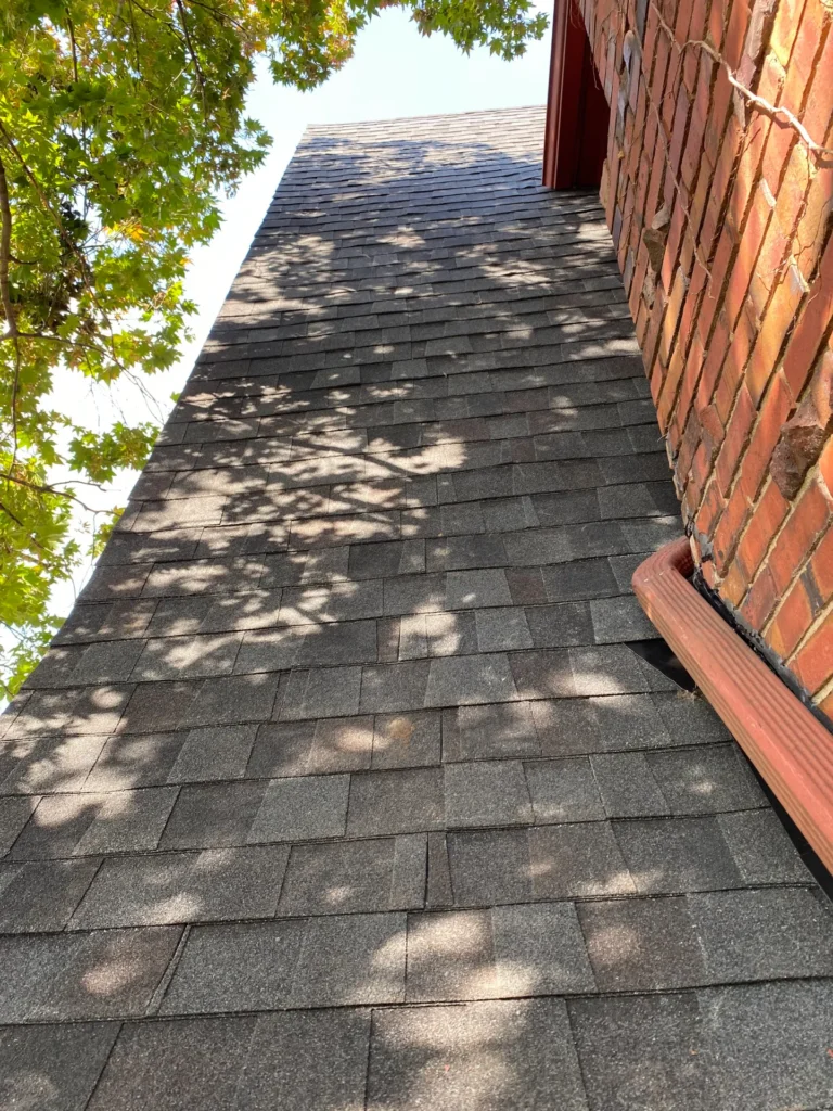 Shingles along a brick wall