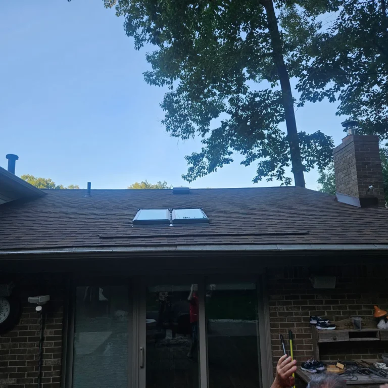Shingle roof with skylights